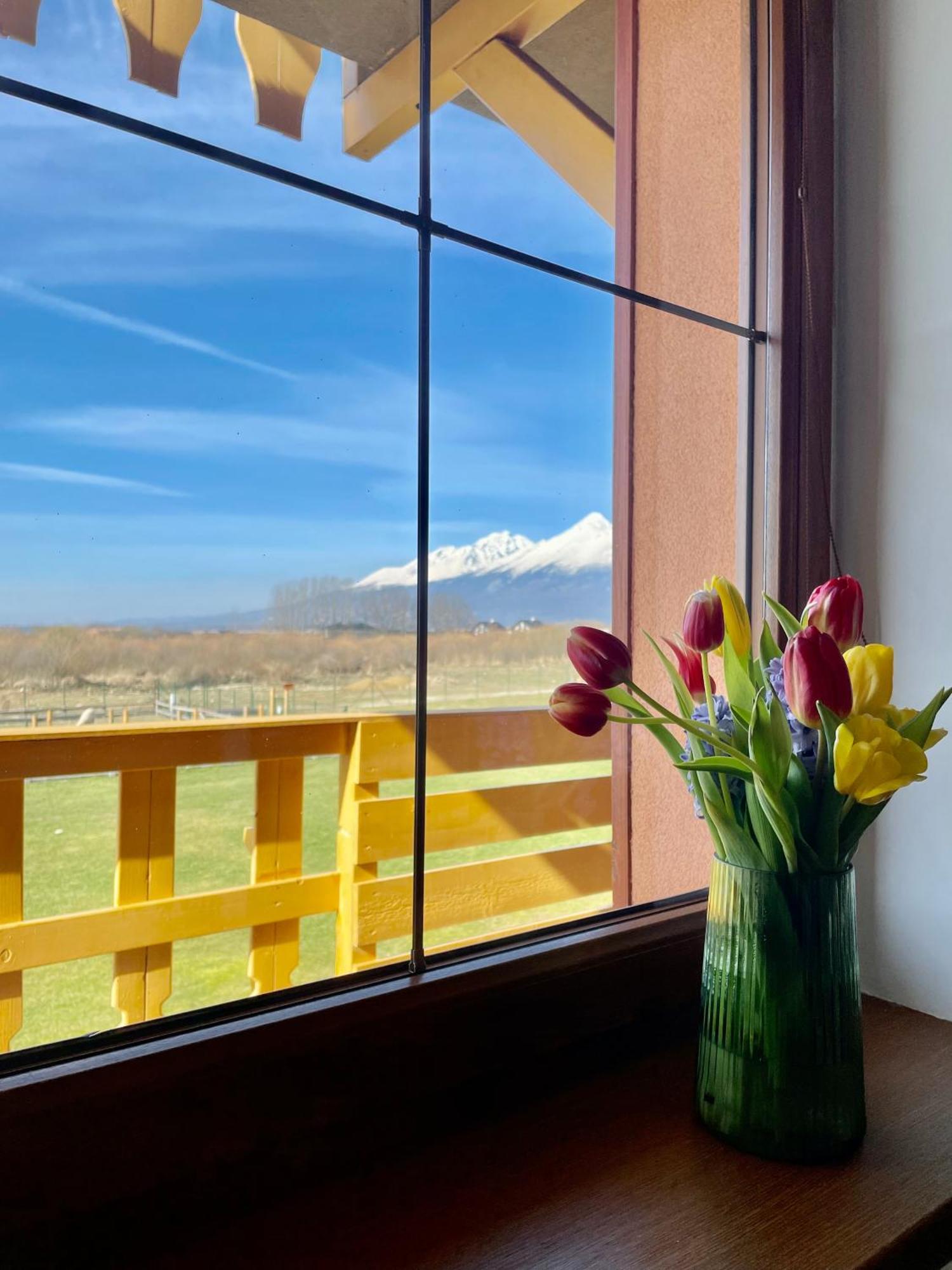 Apartment Kimo - Stunning View Of High Tatras Vel'ka Lomnica Exterior photo